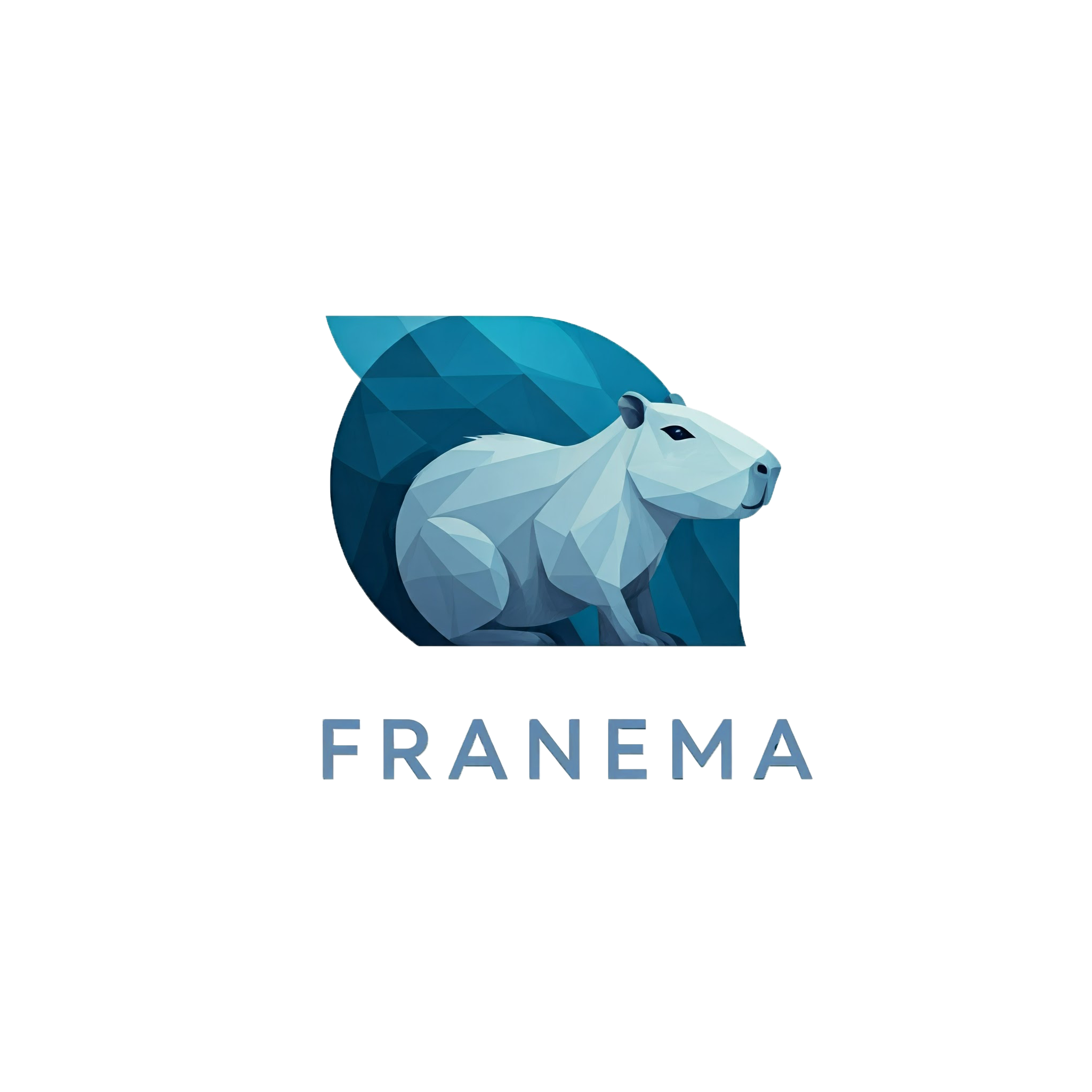 Logo de Franema Solutions